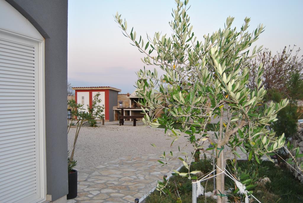 House With Swimming Pool Blue Diamond Apartment Povljana Exterior foto