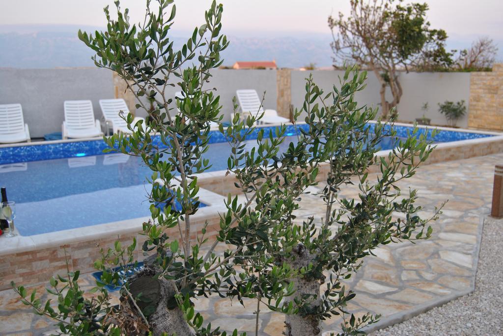 House With Swimming Pool Blue Diamond Apartment Povljana Exterior foto